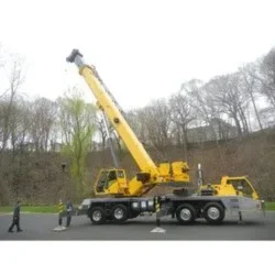 Crane Rental Service provider in delh